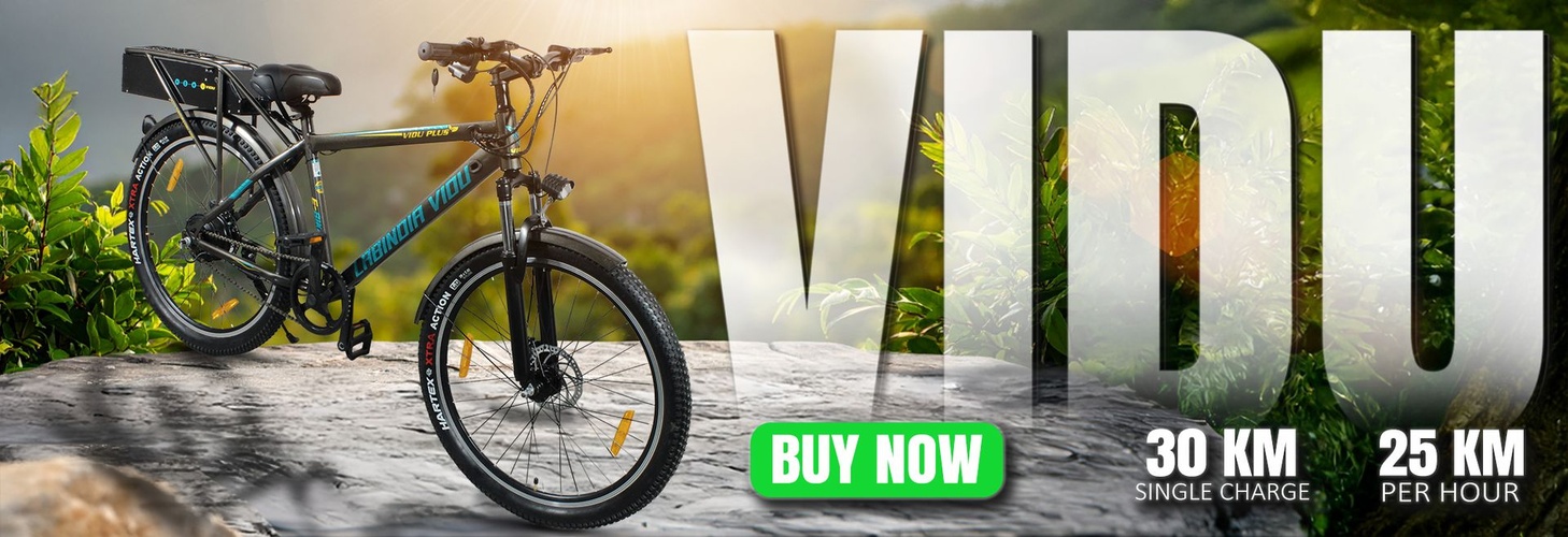 Vidu 1