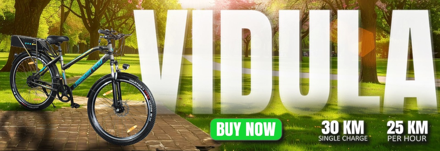Vidula 1